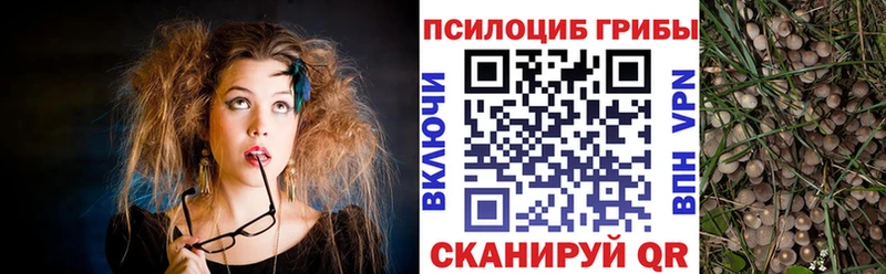наркошоп  Поворино  МЕГА зеркало  Псилоцибиновые грибы ЛСД 